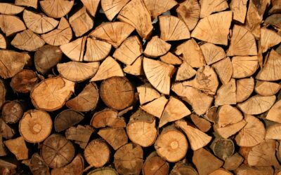 Registro di tracciabilità del legno: come iscriversi