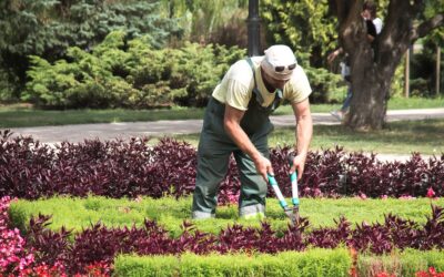 Manutentori del verde: aperte le iscrizioni alla formazione obbligatoria