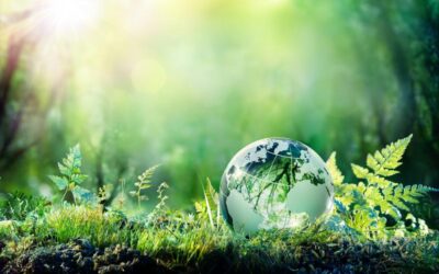 Transizione ecologica: un questionario di CNA