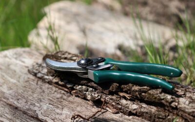 Imprese del verde: ottenuta la semplificazione per la gestione dei rifiuti di sfalci e potature