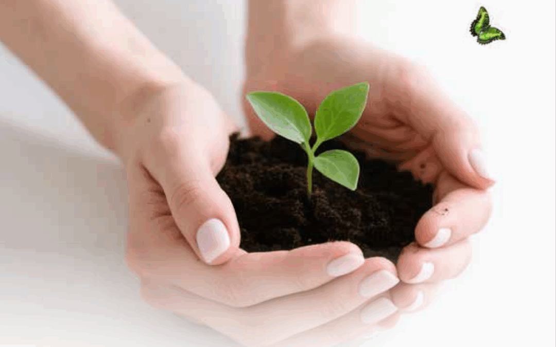 Rentri: nuova scadenza per le imprese fino a dieci dipendenti