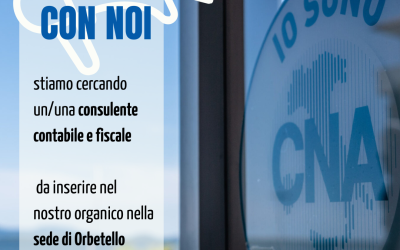 Cerchiamo un consulente contabile e fiscale